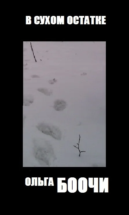 Обложка В сухом остатке