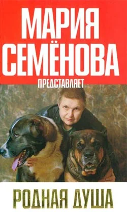 Обложка Мой азиат