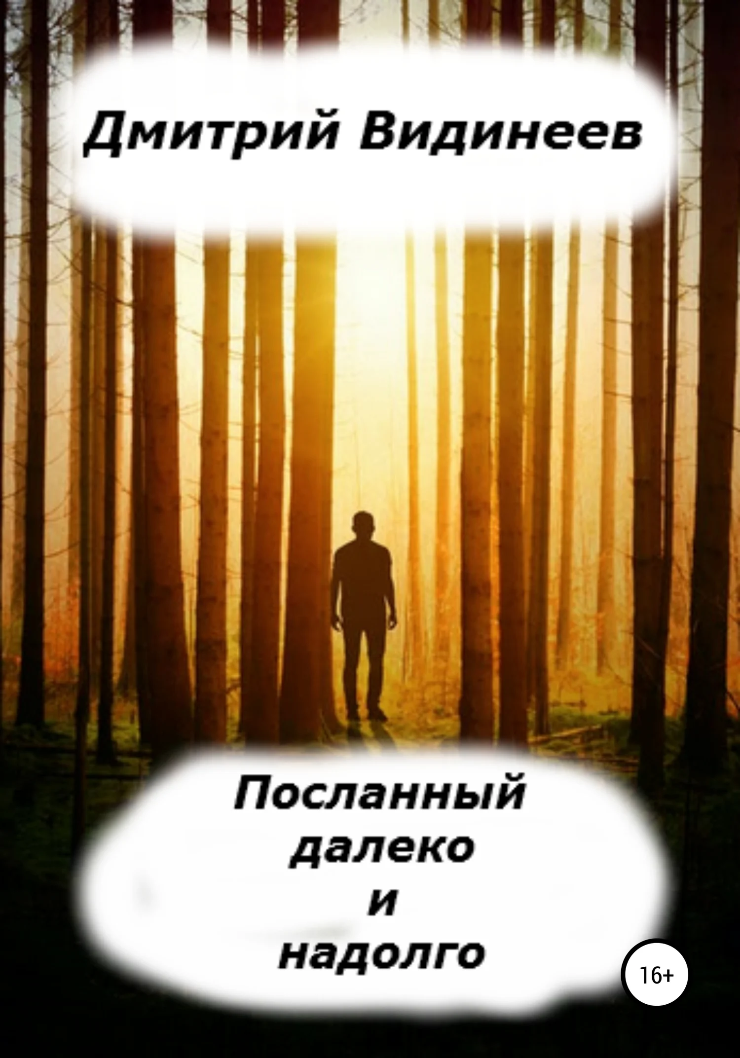 Обложка Посланный далеко и надолго