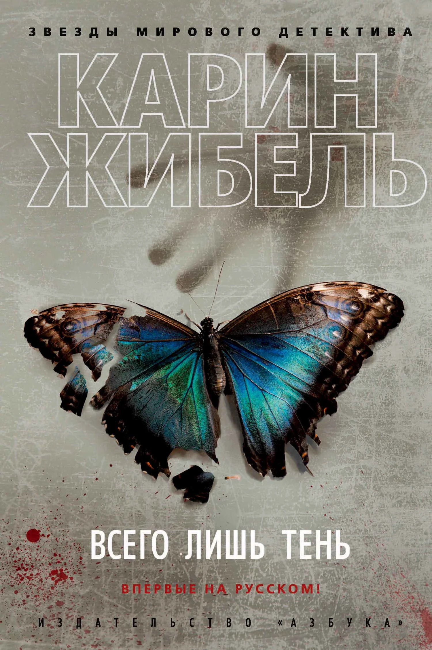 Обложка Всего лишь тень