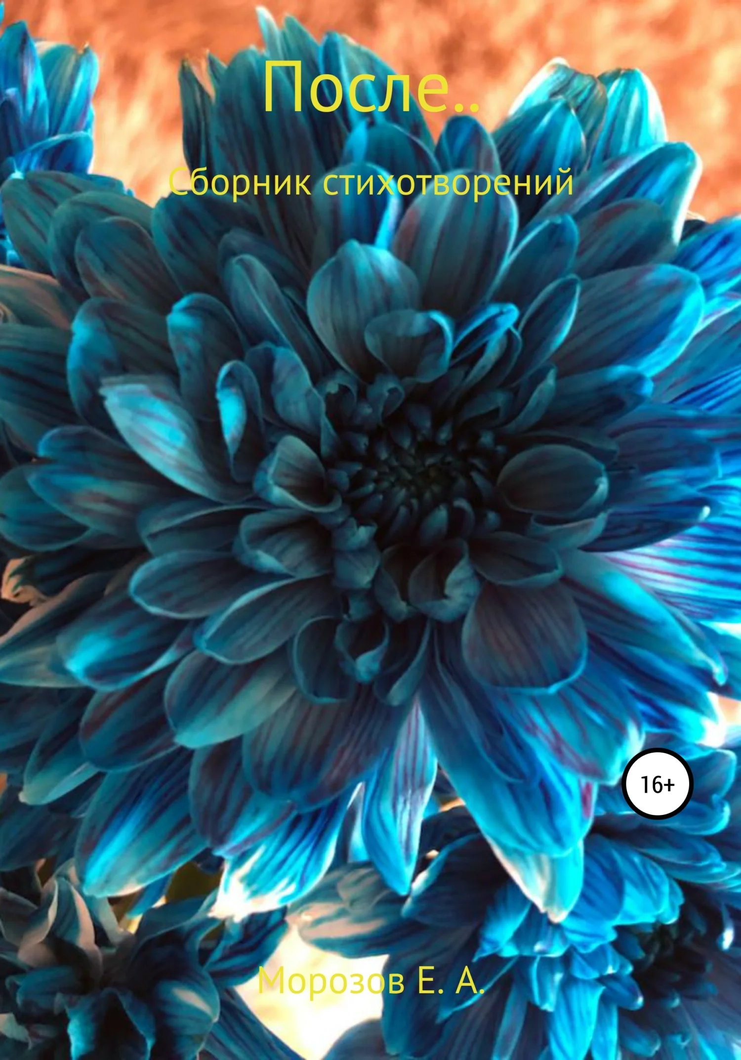 Обложка После…