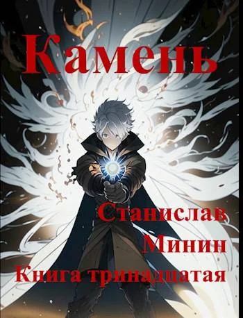 Обложка Камень. Книга 13