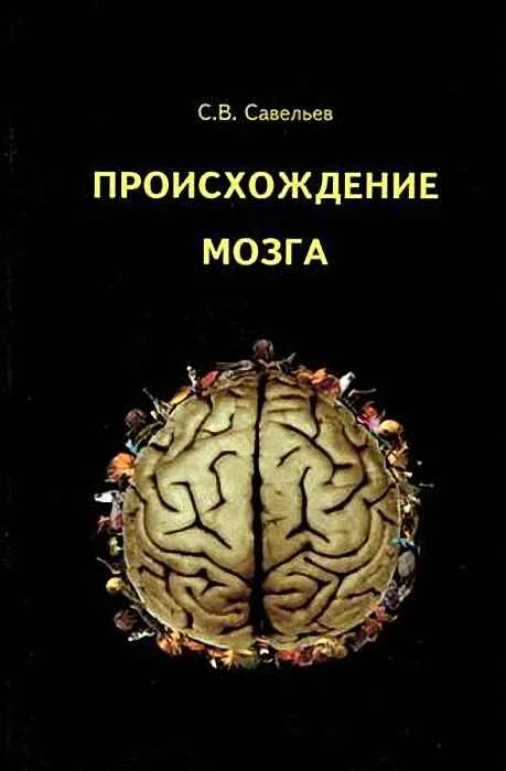 Обложка Происхождение мозга