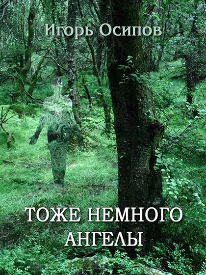 Обложка Тоже немного ангелы