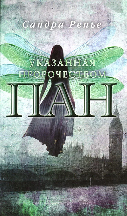 Обложка Указанная пророчеством