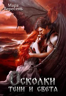 Обложка Осколки тени и света