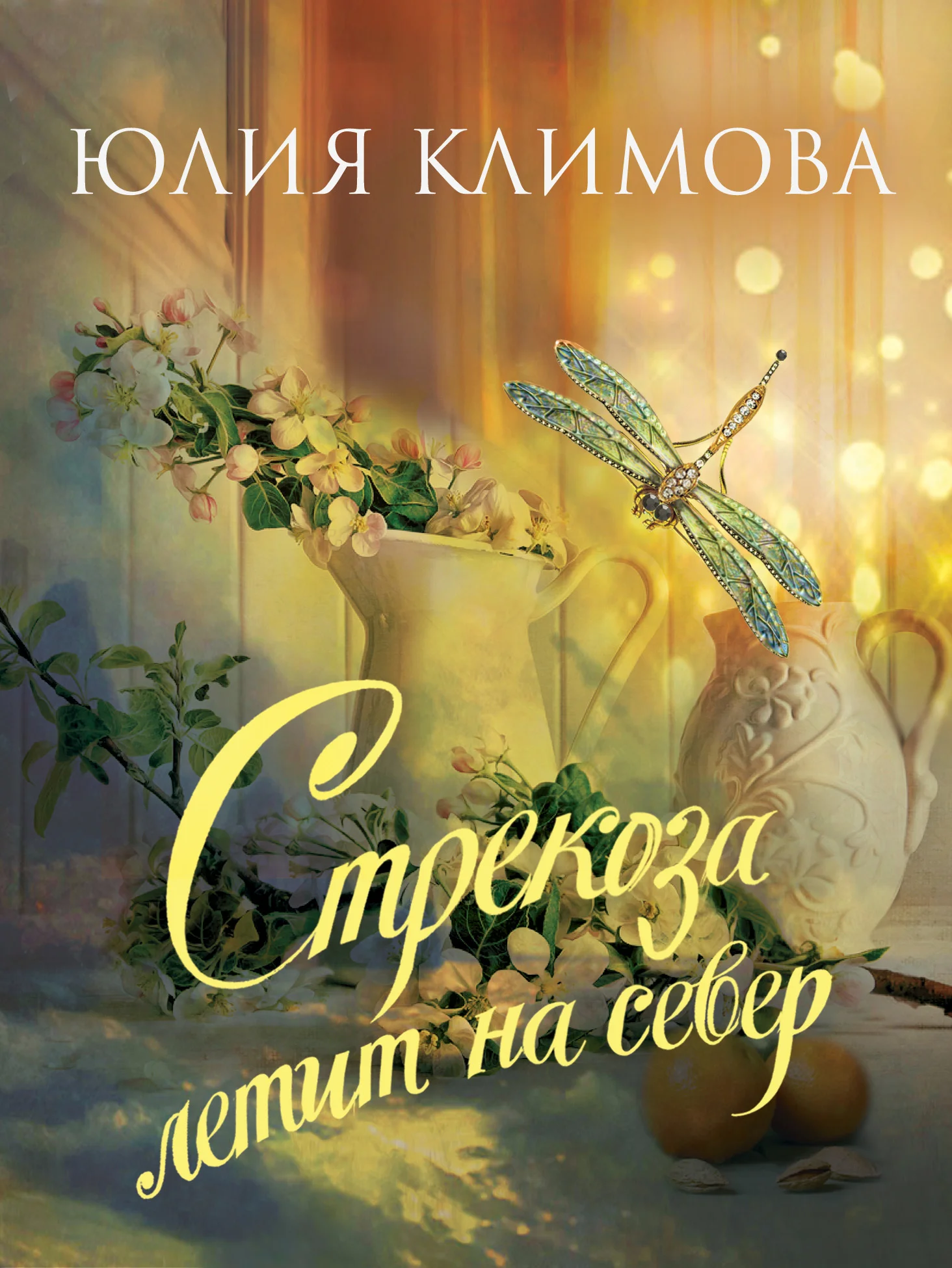 Обложка Стрекоза летит на север