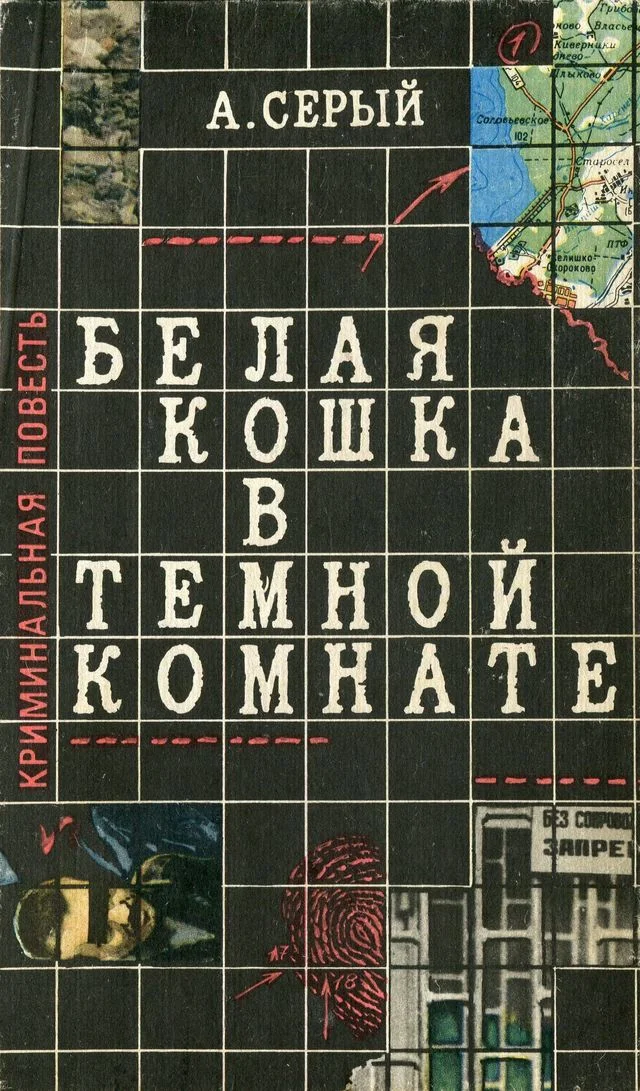 Обложка Белая кошка в темной комнате