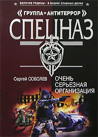 Обложка Очень серьезная организация