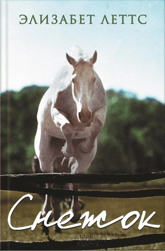 Обложка Снежок