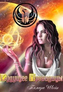 Обложка Будущее Провидицы