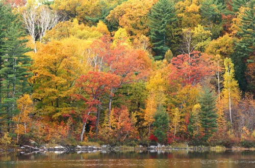 Обложка Гигиеническая система