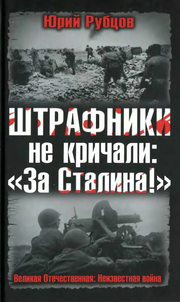 Обложка Штрафники не кричали: «За Сталина!»