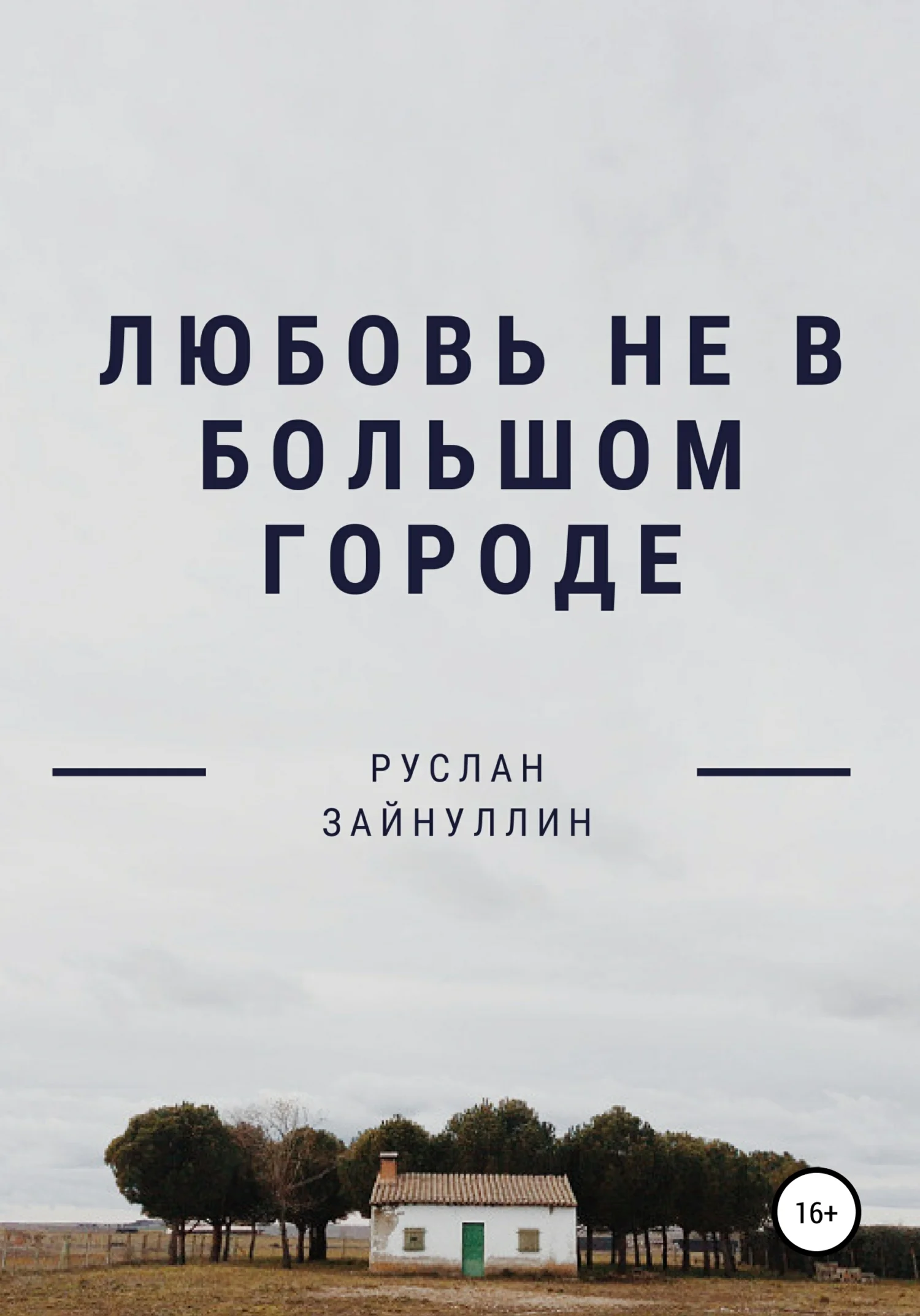 Обложка Любовь не в большом городе