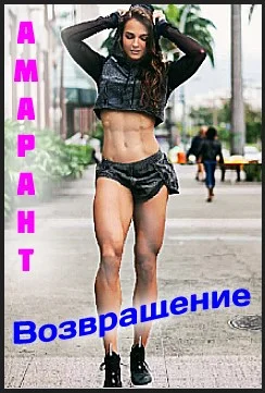 Обложка Возвращение