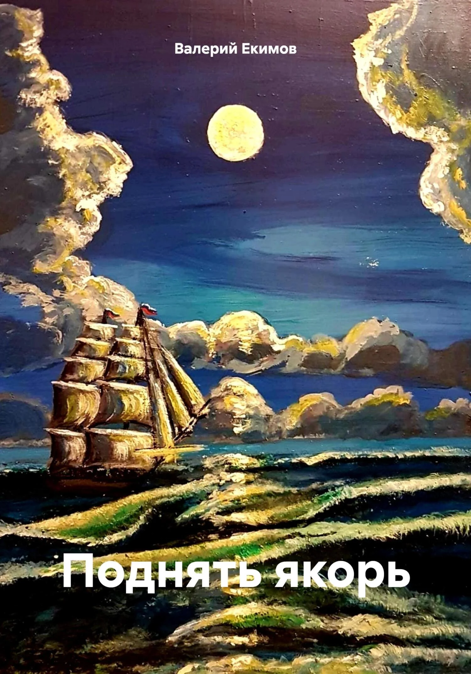 Обложка Поднять якорь