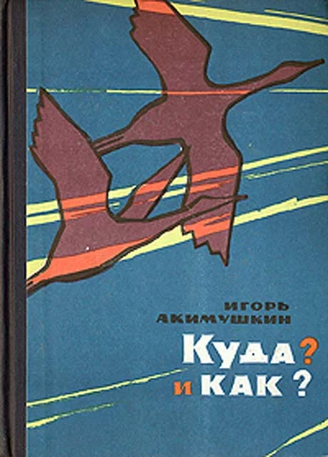 Обложка Куда? и как?