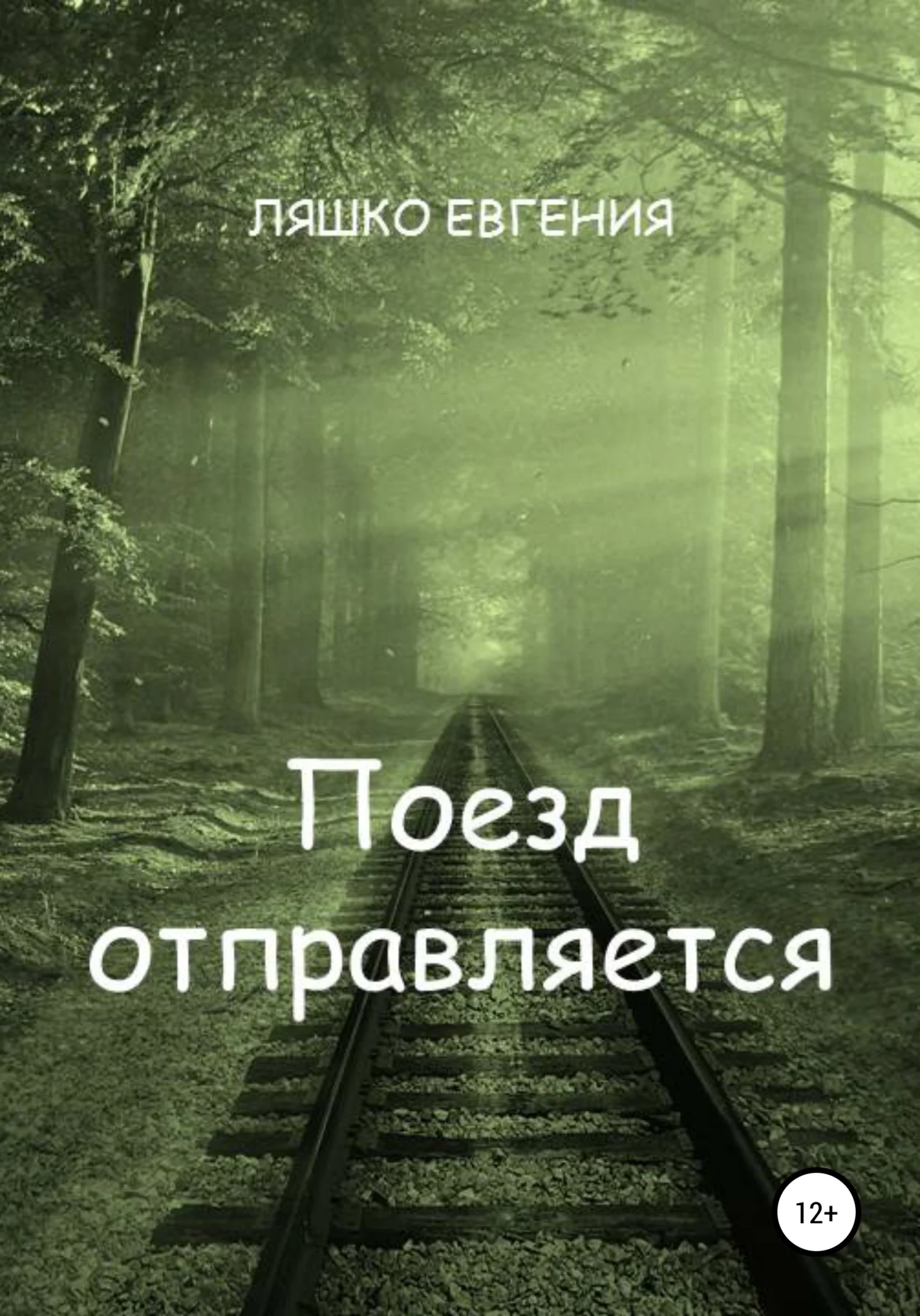 Обложка Поезд отправляется