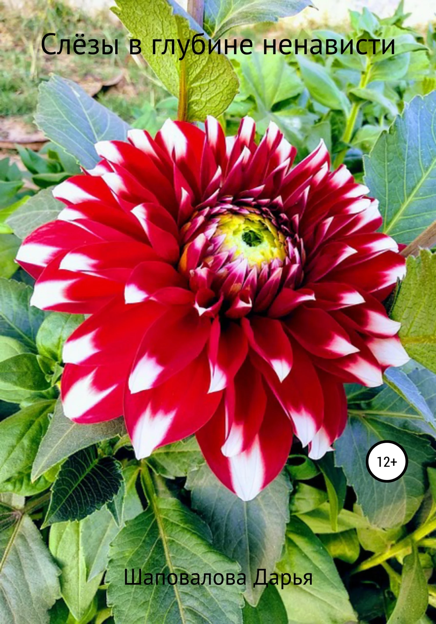 Обложка Слёзы в глубине ненависти