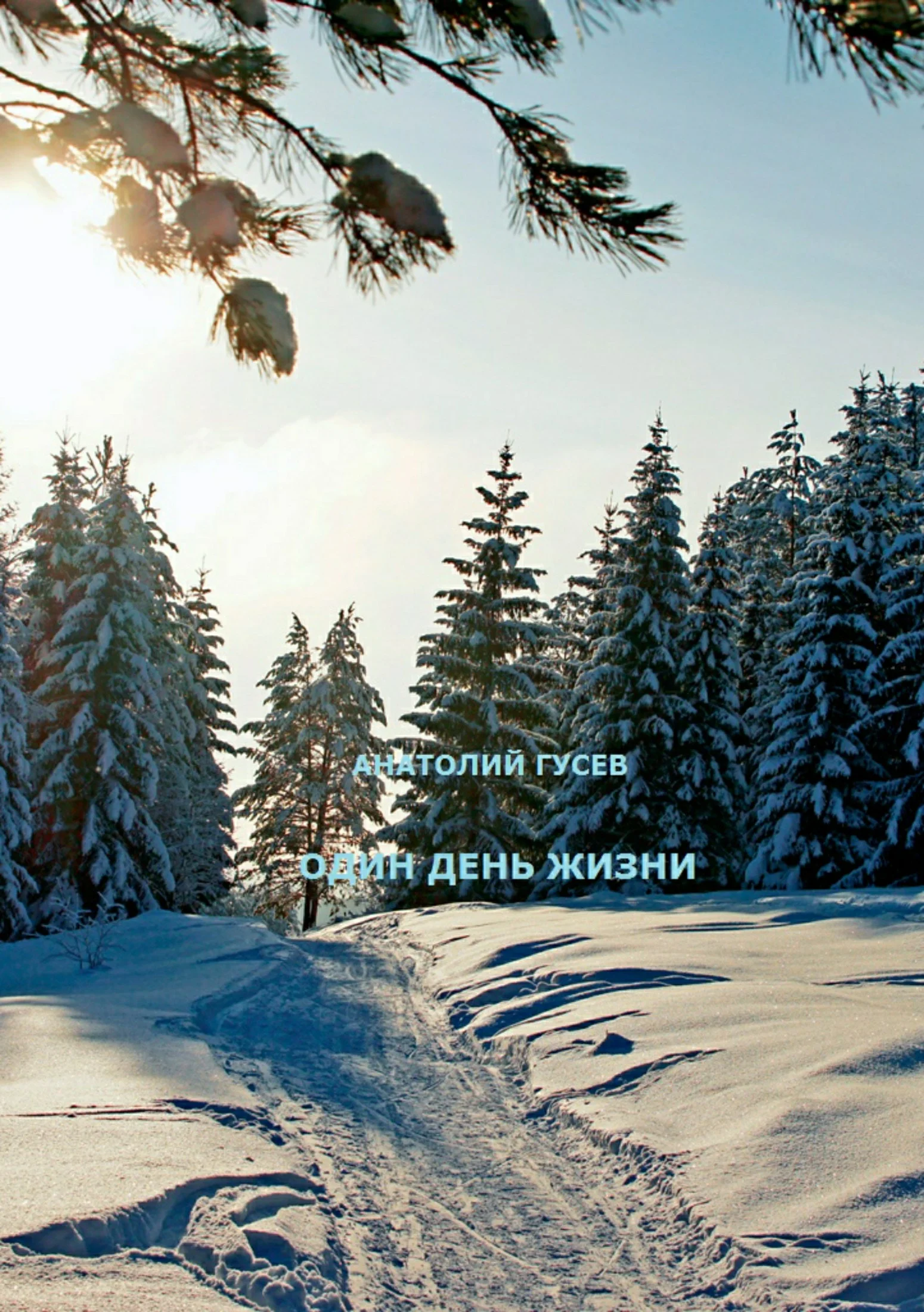 Обложка Один день жизни