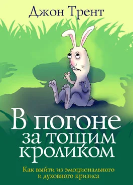Обложка В погоне за тощим кроликом