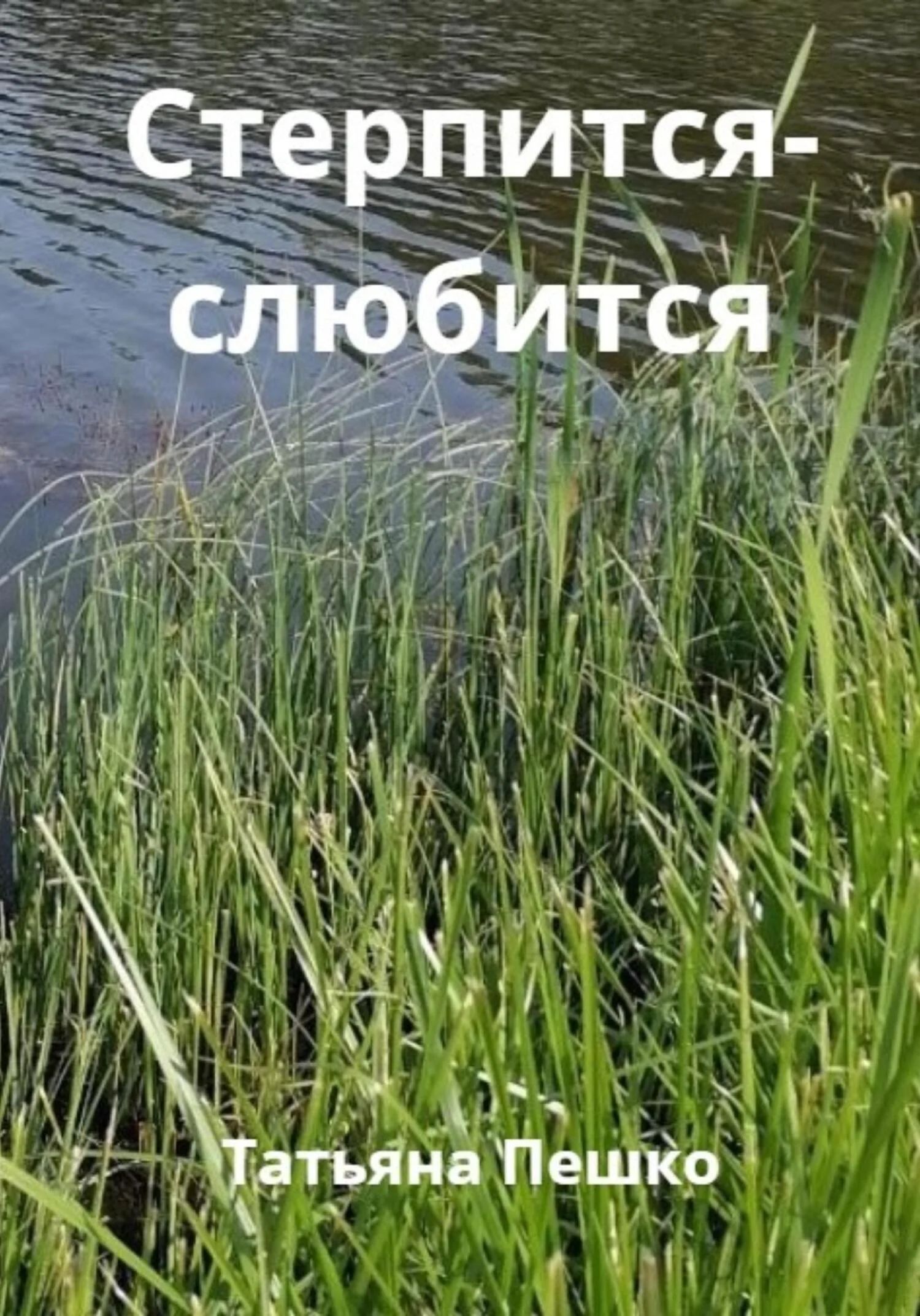 Обложка Стерпится-слюбится