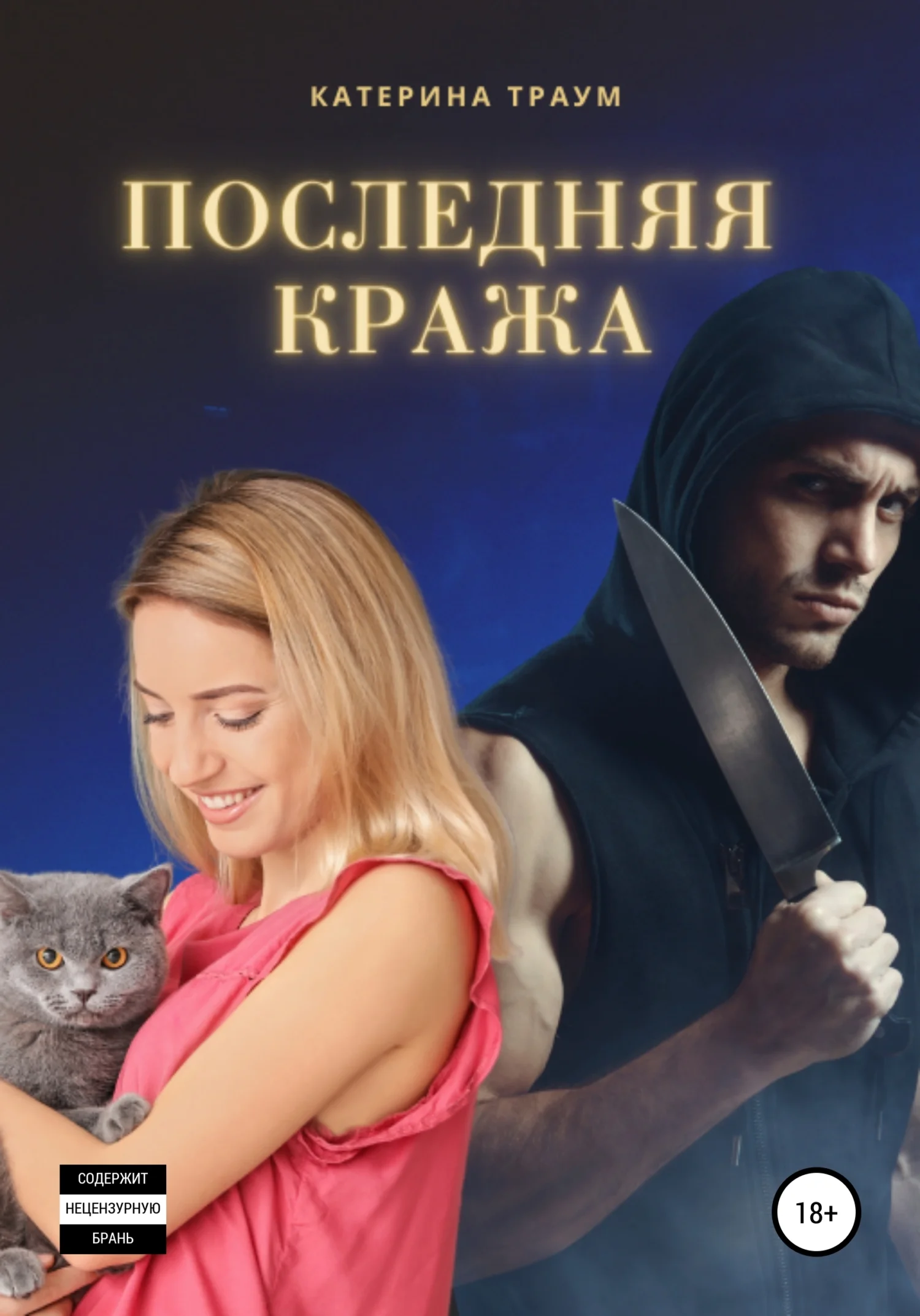 Обложка Последняя кража