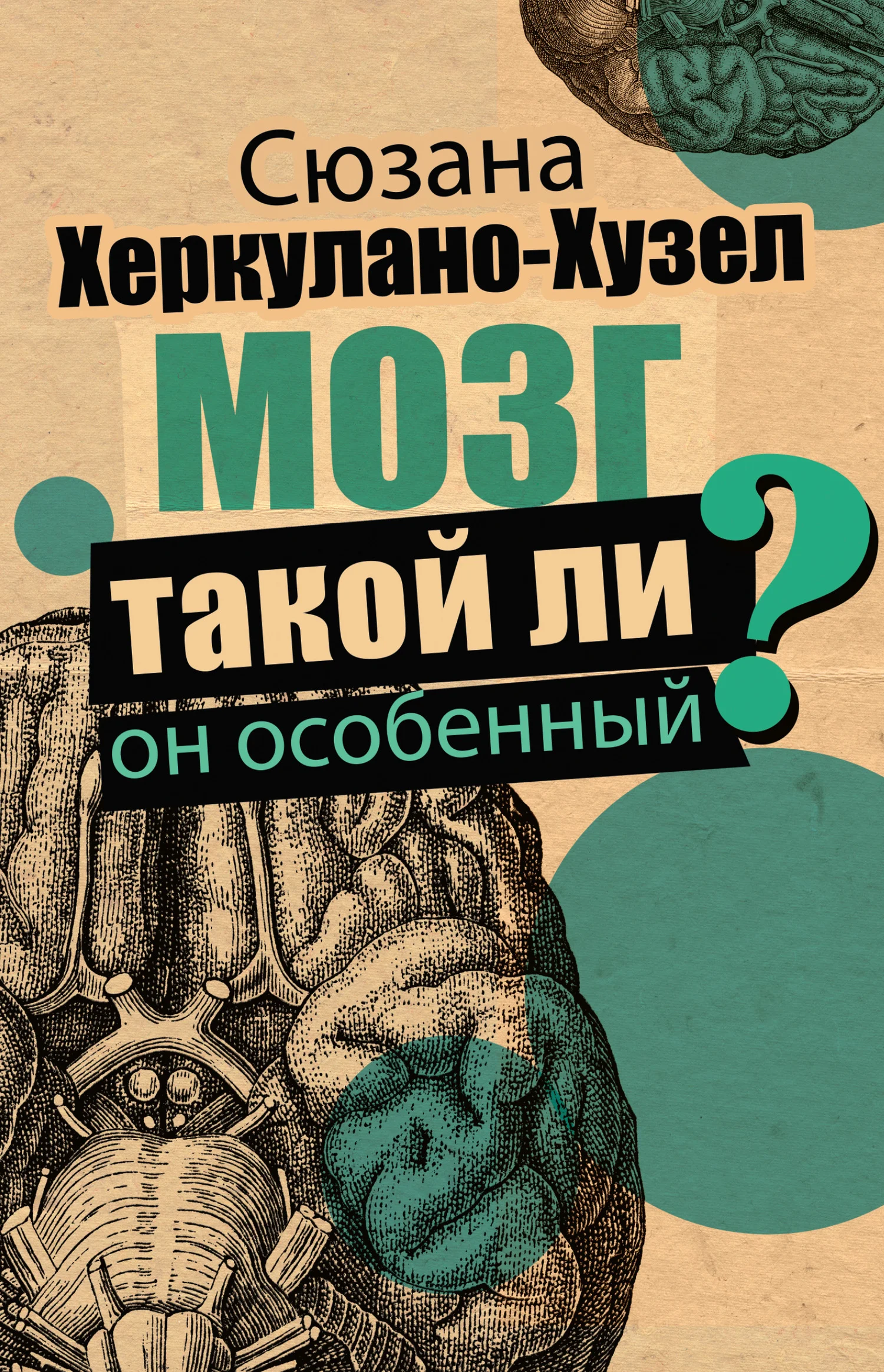 Обложка Мозг. Такой ли он особенный?