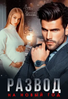 Обложка Развод на новый год