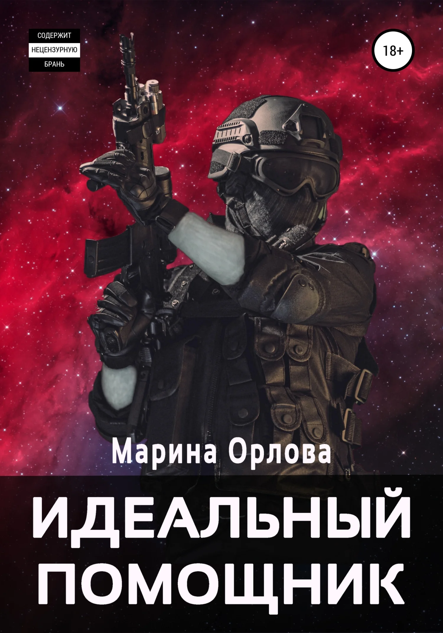 Обложка Идеальный помощник