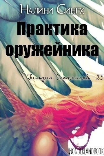 Обложка Практика оружейника