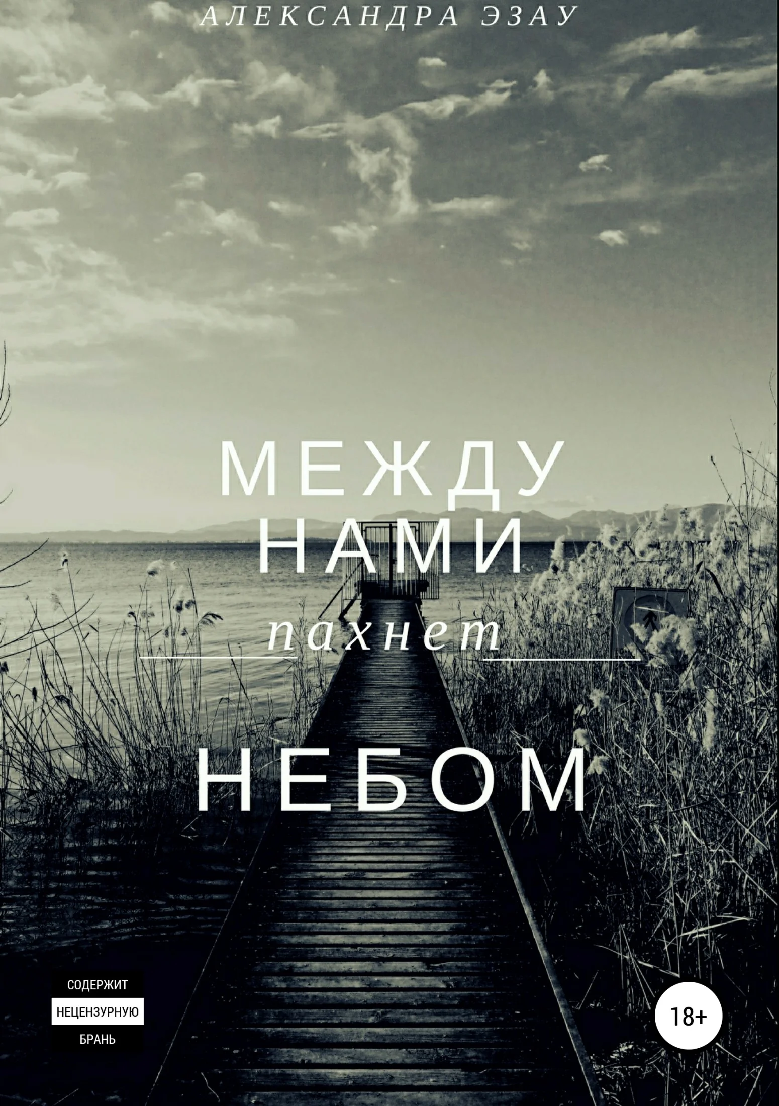 Обложка Между нами пахнет небом