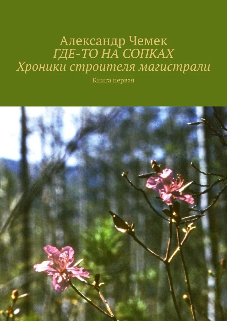 Обложка Где-то на сопках. Хроники строителя магистрали. Книга 1