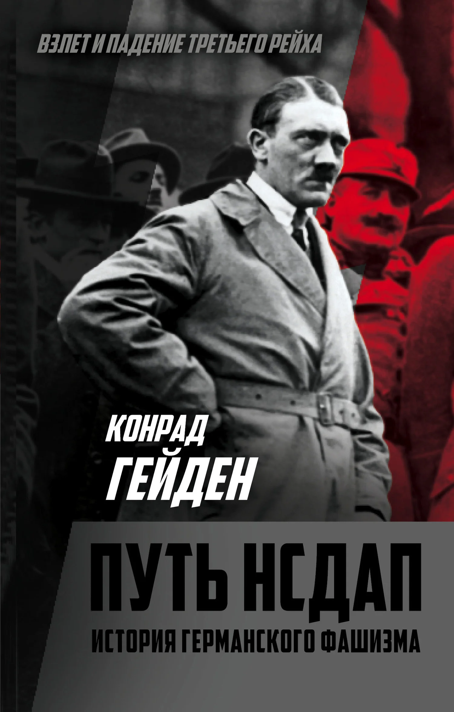 Обложка Путь НСДАП. История германского фашизма