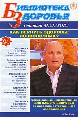 Обложка Как вернуть здоровье позвоночнику