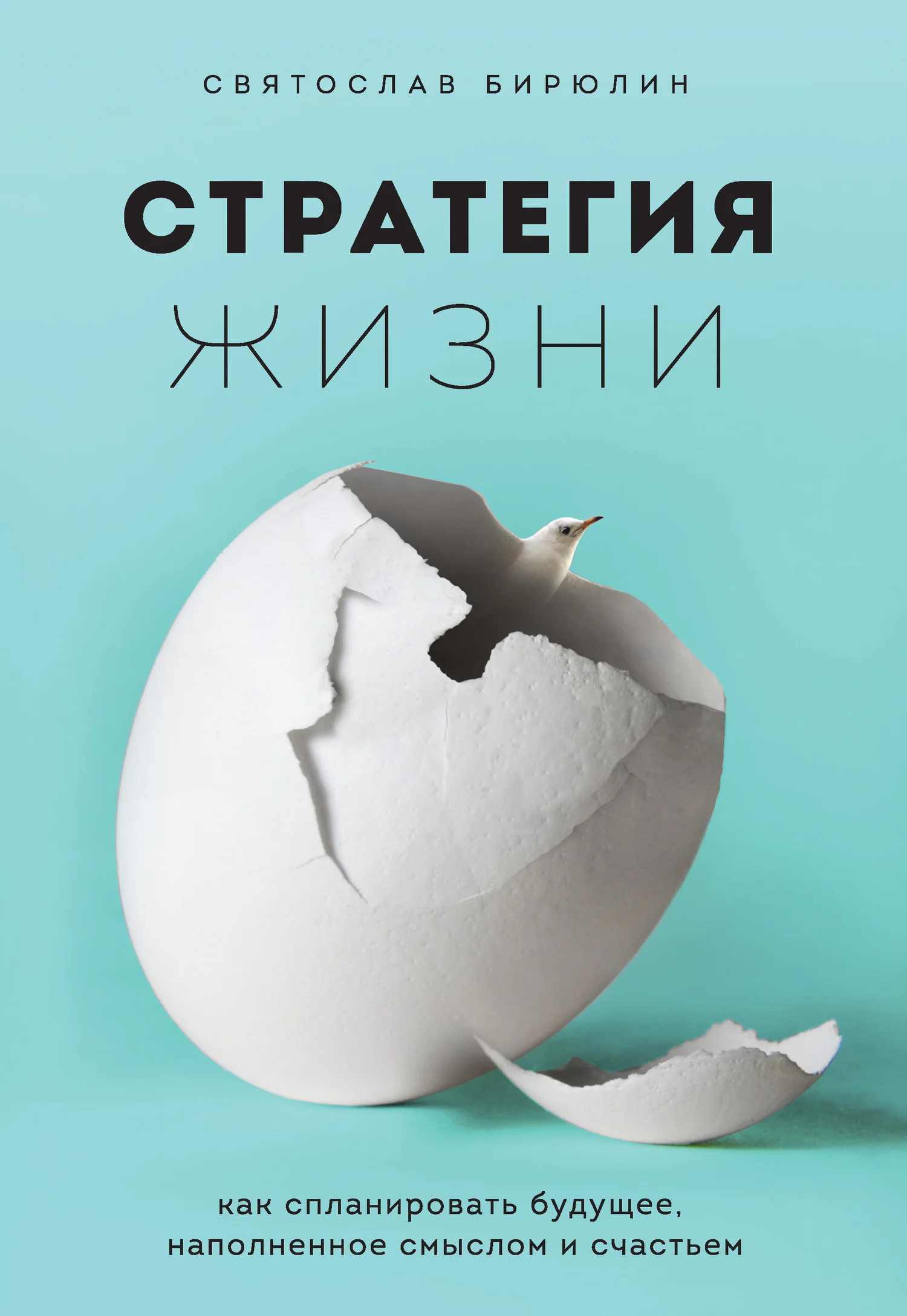 Обложка Стратегия жизни. Как спланировать будущее, наполненное смыслом и счастьем