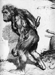 Обложка Аналитическая записка о событиях во Франции осенью 2005 года