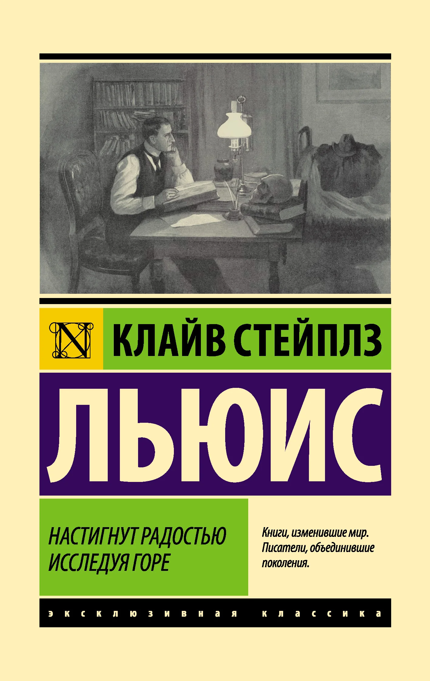 Обложка Настигнут радостью. Исследуя горе