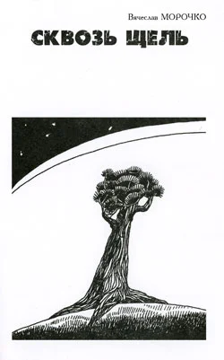 Обложка Сквозь щель