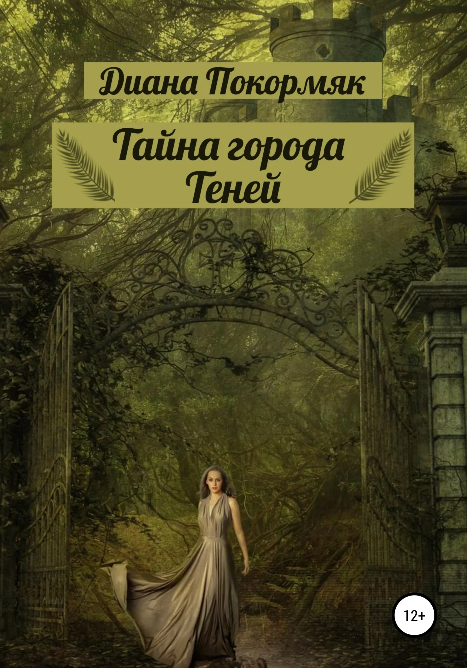 Обложка Тайна города Теней