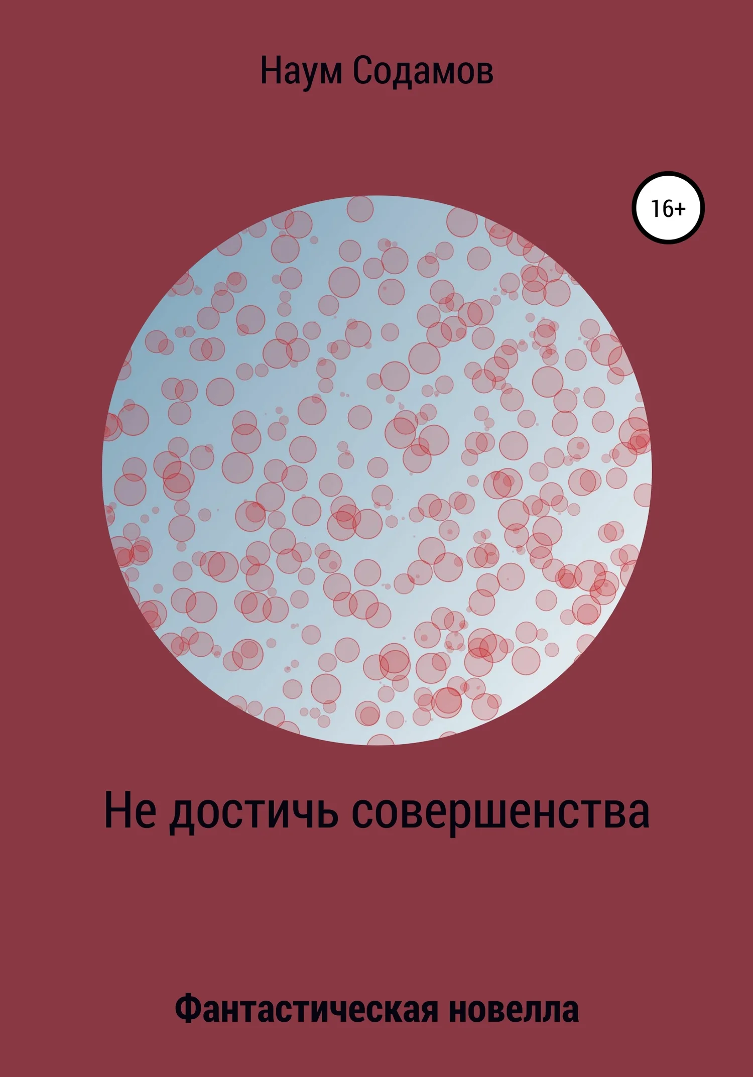 Обложка Не достичь совершенства