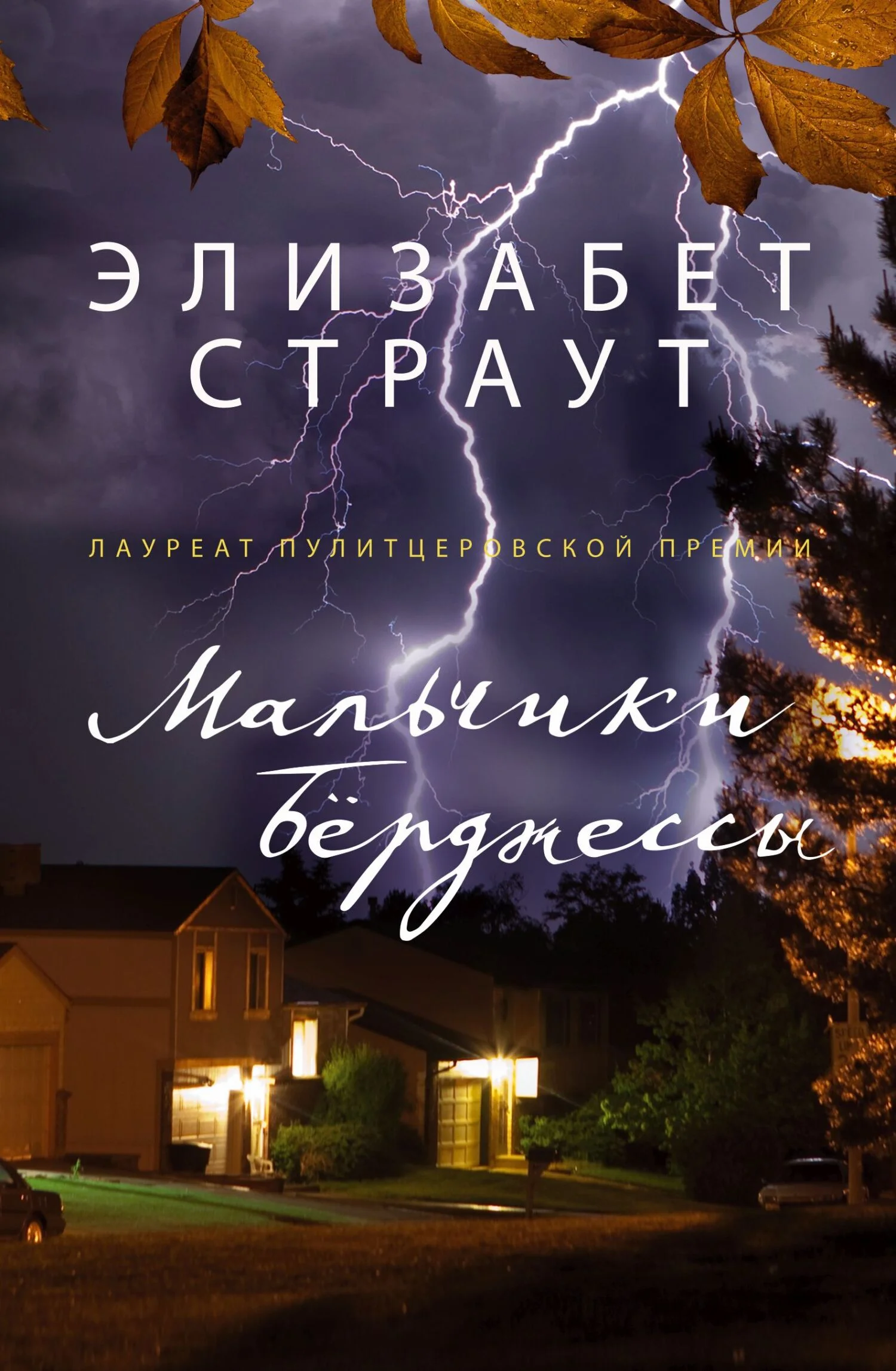 Обложка Мальчики Берджессы