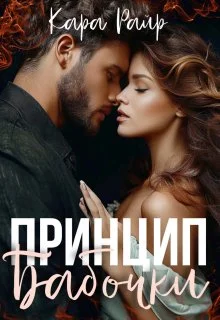 Обложка Принцип бабочки