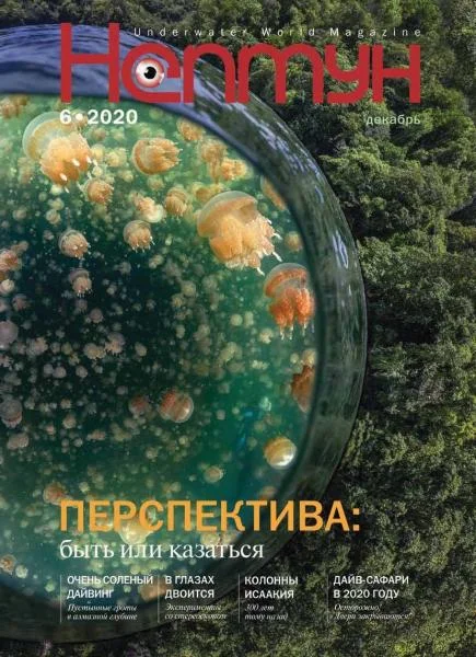 Обложка Журнал «Нептун» 2020 №6