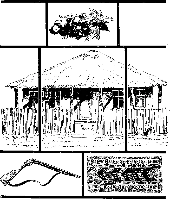 Обложка Юлия