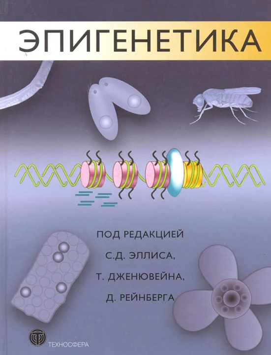 Обложка Эпигенетика