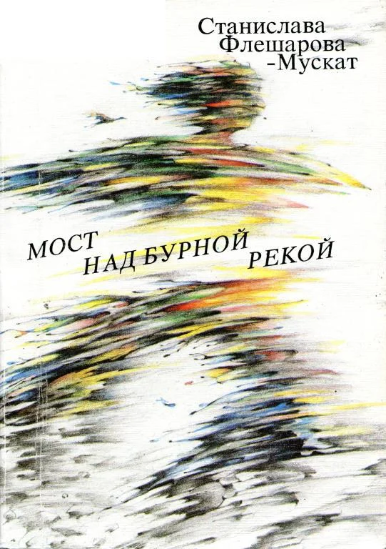 Обложка Мост над бурной рекой
