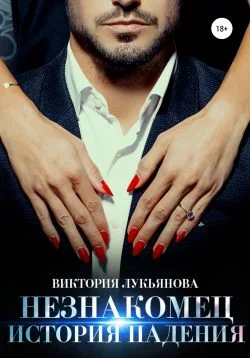 Обложка Незнакомец. История падения