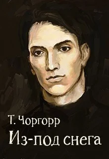 Обложка Из-под снега