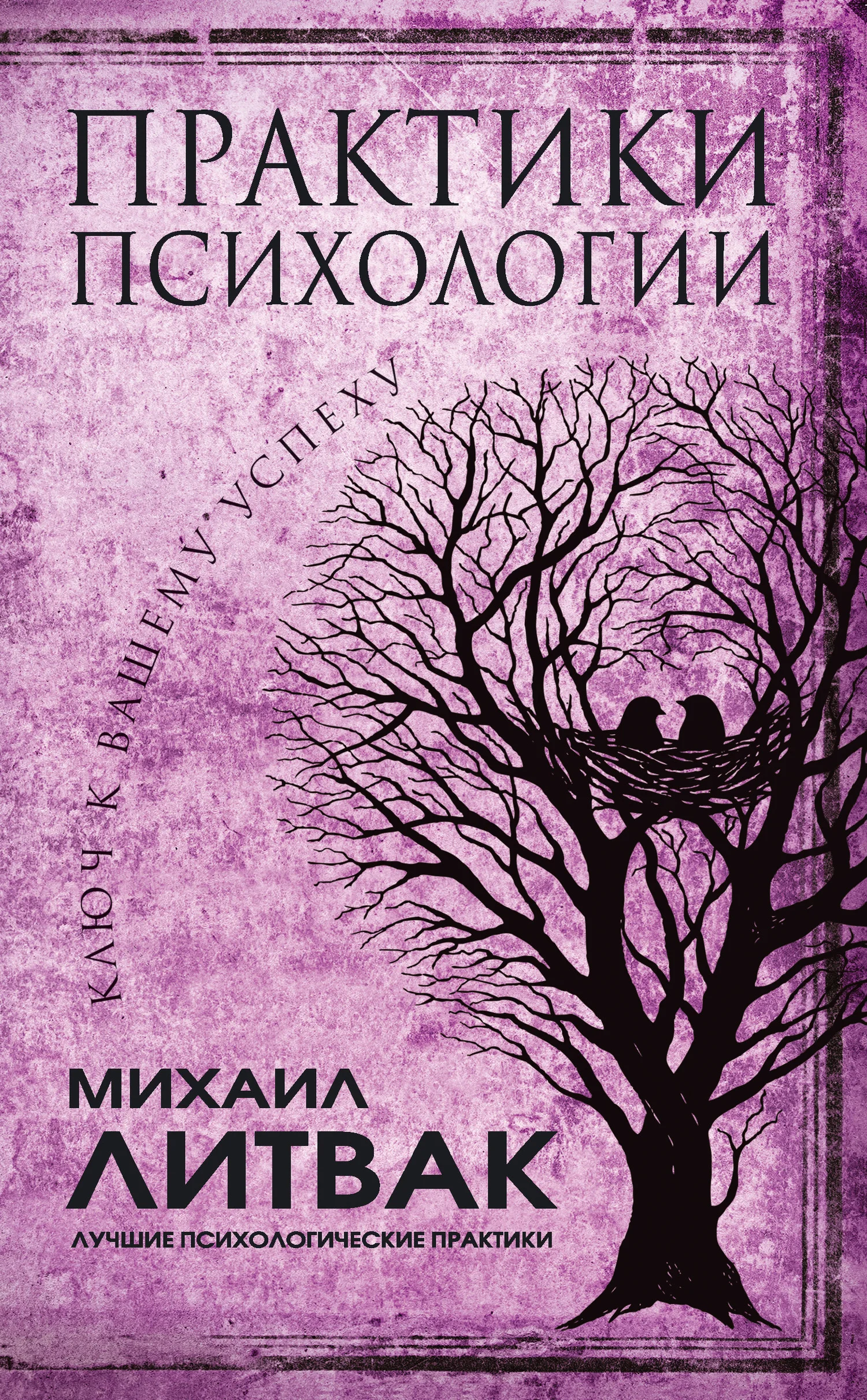 Обложка Практики психологии. Ключ к вашему успеху